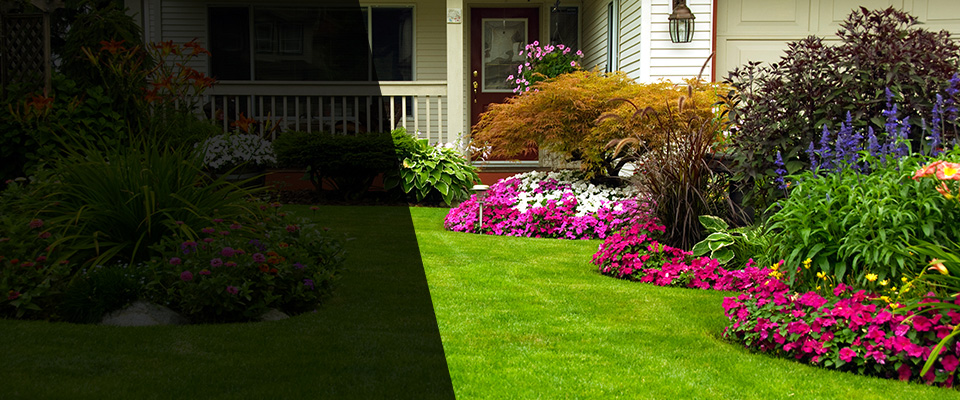 Clarksburg Landscapers